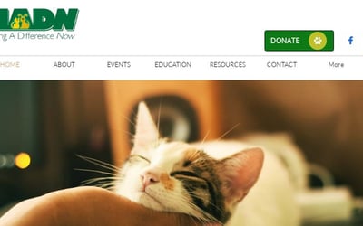 Making A Difference Now