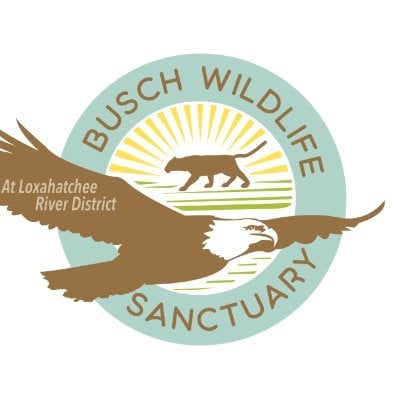 The Busch Wildlife Sanctuary Inc.