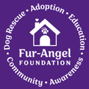Fur-Angel Foundation