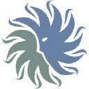 New Mexico Cancer Center Foundation