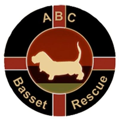 All Bassets Cherished Basset Hound Rescue