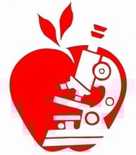 Diabetes Research and Wellness Foundation Inc.