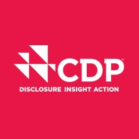 Cdp North America Inc.