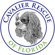 Cavalier Rescue of Florida Inc.