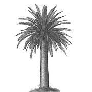 Ideagarden Institute Incorporated