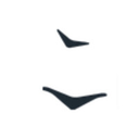 Resilience Education