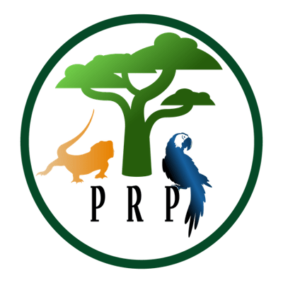 Pandemonium Rainforest Project Inc.