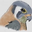 Black Hills Raptor Center