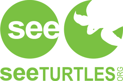 See Turtles