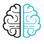 Gray Matter Experience