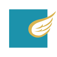 South Tampa Ecumenical Ministries Inc.