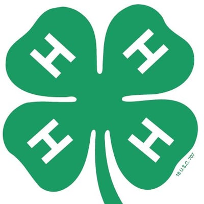 Michigan 4-H Foundation