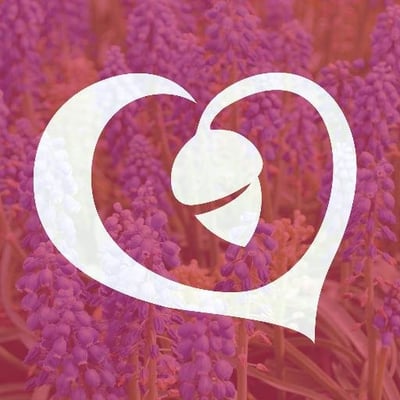 Lincoln Parks & Recreation Fndn