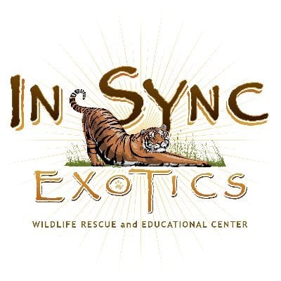 Insync Exotics Inc.