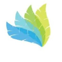 Brave Step Inc. Logo