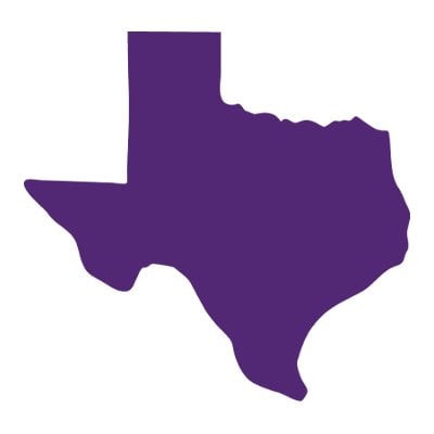 Texas Council on Family Violence Incorporated