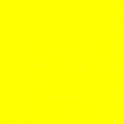 Criminal Justice Reform Foundation