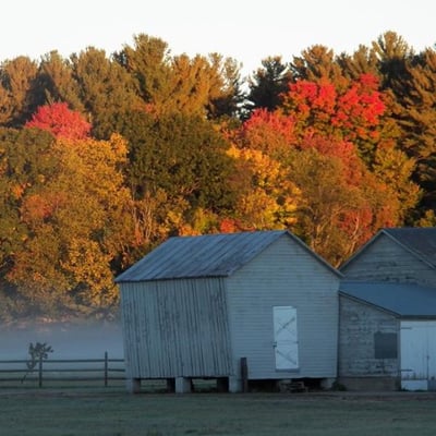 Pitney Meadows Community Farm Inc.