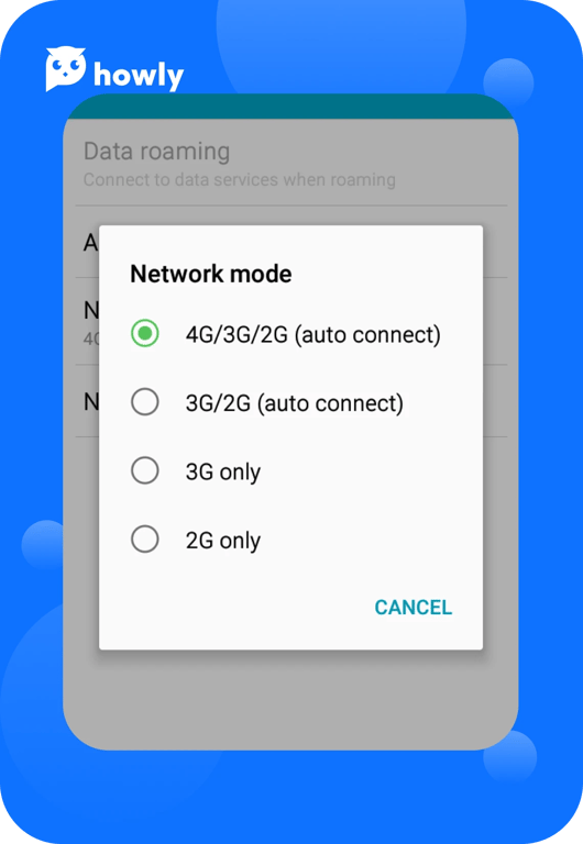 Preferred network type