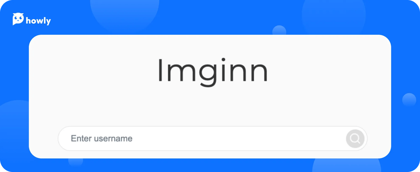 ImgInn interface