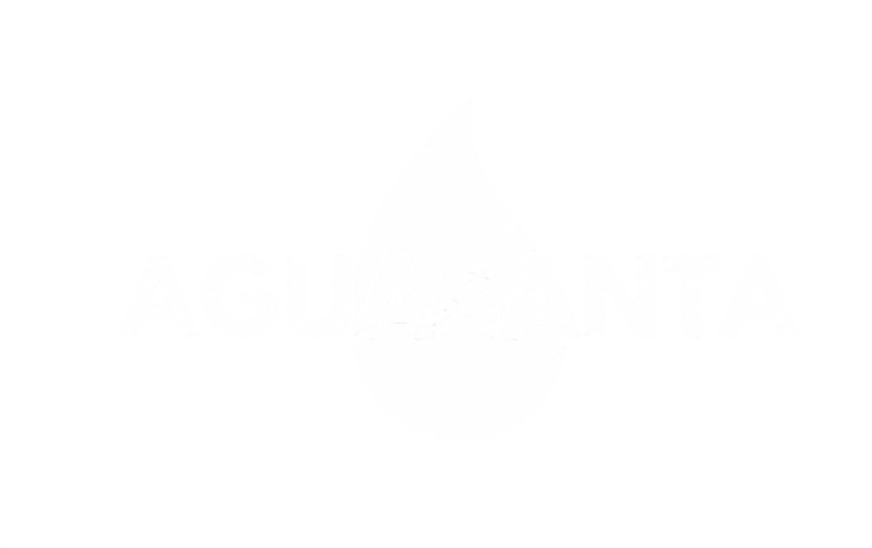 Logo auspiciador