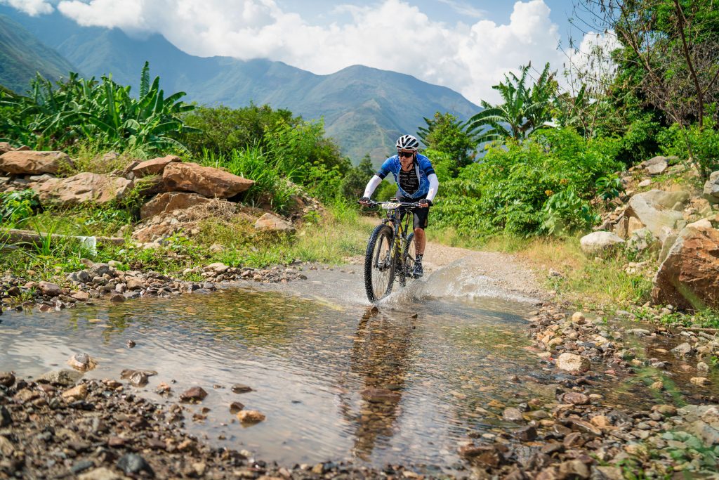 Imagen 1 de la galería