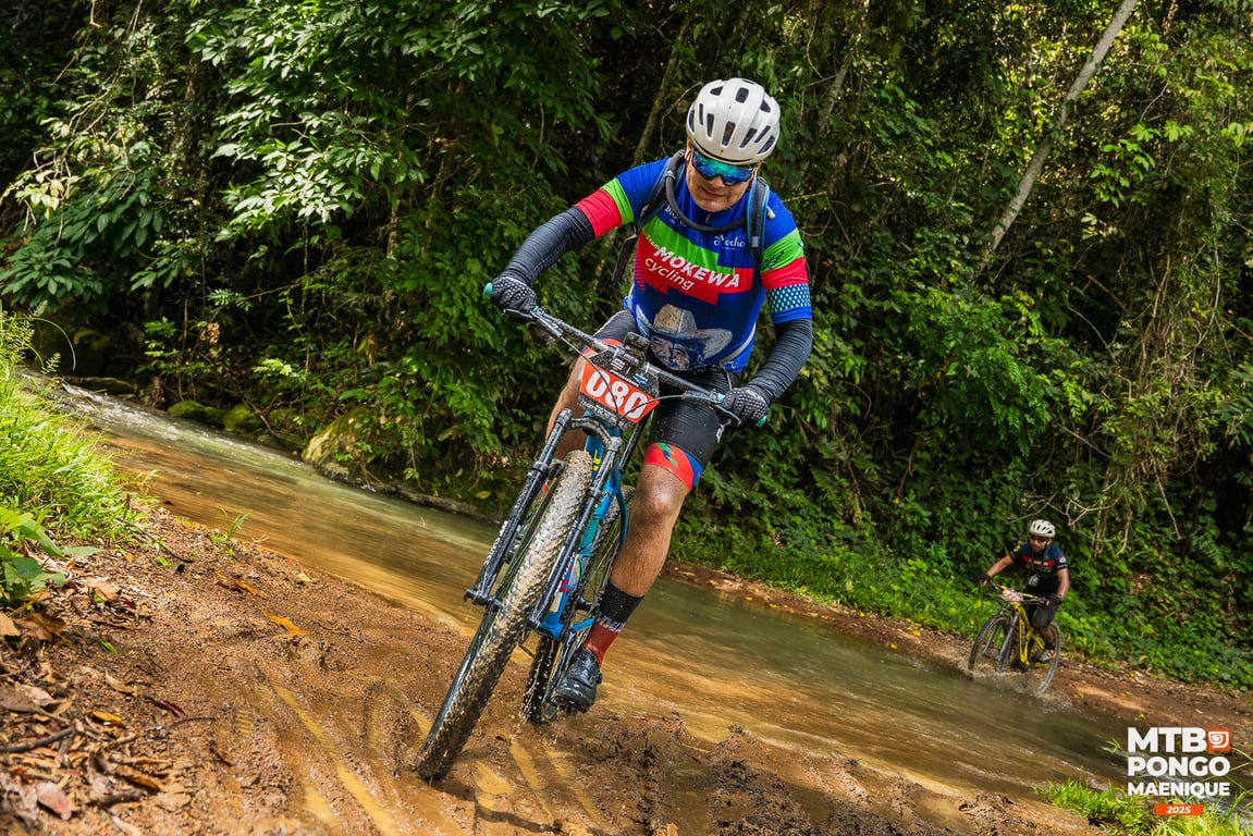 Imagen 3 de la galería