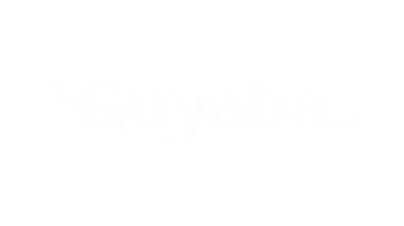 Logo auspiciador