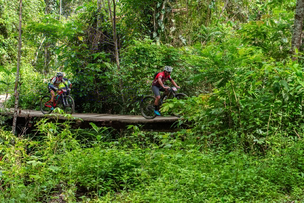 Imagen 2 de la galería