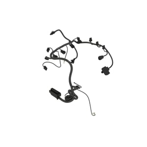Image of AUC11706