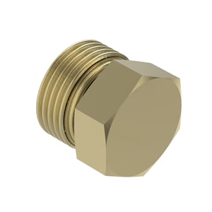 Fitting Plug
