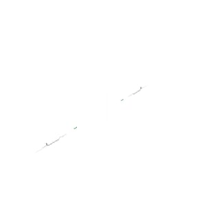 Sprayer Boom