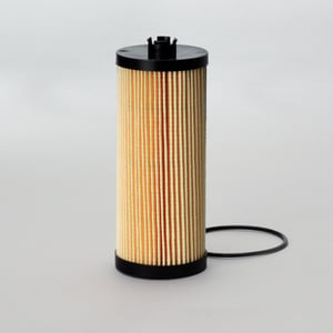Image of P550761