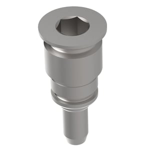 Pipe Plug