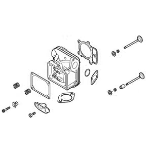 Image of AUC16838