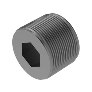 Pipe Plug