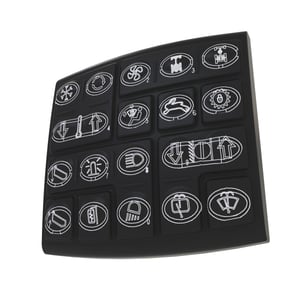 Display Module