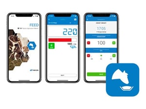 Image of TAP FEED APP