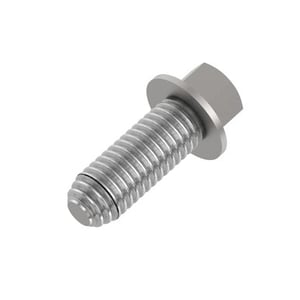 Screw