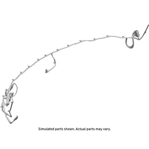 Image of 42835896