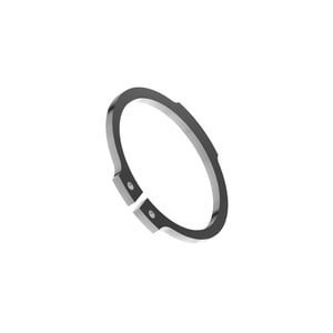 Snap Ring
