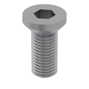 Screw