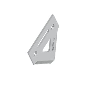 Section