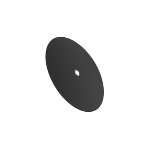Disk