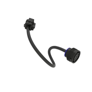 Image of AM148017