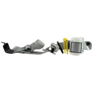 Image of RL1Z40613B84BC