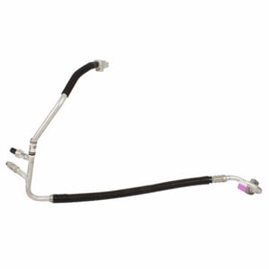 Image of YF37687