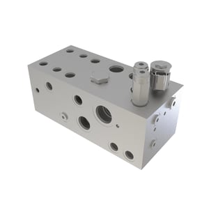 Manifold