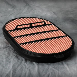 Donaldson P607557 Safety Air Filter