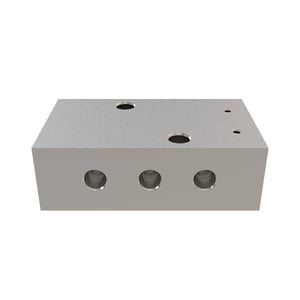 Manifold